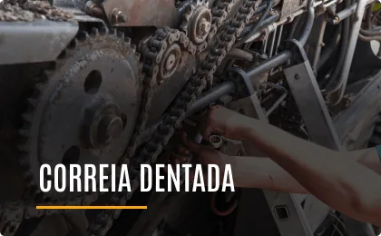 Correia dentada na PneusApp